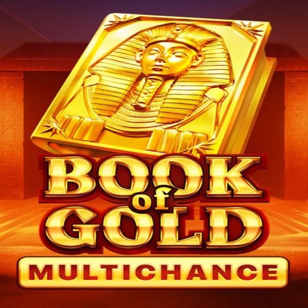 Book of Gold Multichance logo by Playson Spinsino Casino